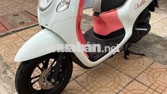 Scoopy Thailand