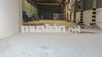 Cho thuê xưởng Thuận An 700m điện 400kva nền epoxy sẵn 2 cẩu trục