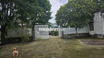 Cho thuê nhà tại đường Bàu Tre, Củ Chi