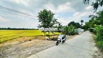 300 Triệu/ 1000m2 CÁCH ĐẠI HỌC CUỬ LONG, KCN HÒA PHÚ 5KM . VĨNH LONG
