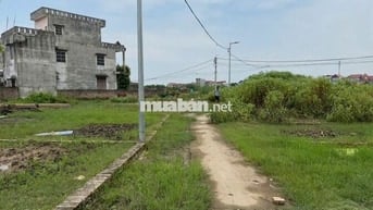 Bán đất tổ 9, Quang Minh, Mê Linh, HN. Lô đất nhỏ nhắn, tài chính
