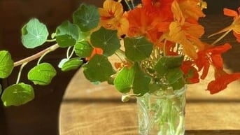 CẦN NGƯỜI PHỤ BÁN HÀNG THỜI VỤ OR LÂU DÀI 