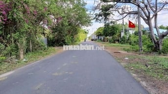 Nhà cho thuê nguyên căn, phù hợp với hộ gia đình