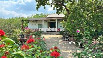 Chính chủ cần bán nhà vườn nghĩ dưỡng giáp suối