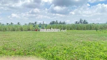 Bán đất ven biển Tân Thành tiền Giang , trường thcs , UBND , giá 750tr