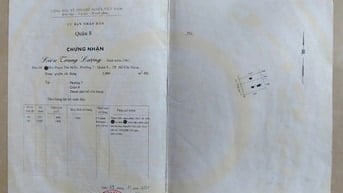 Bán đất tặng nhà cực chất tại Đường 1, P7, Q8, TpHCM