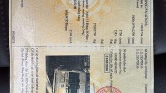 For transit 2023 đi 123.000km