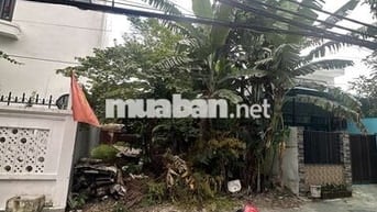Cần bán lô đất kiệt đường nhựa ô tô , cạnh đường Đà Sơn, Đà Nẵng