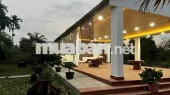 Bán hoặc cho thuê khu nhà vườn sinh thái 0,557 ha, 2 mặt tiền siêu đẹp