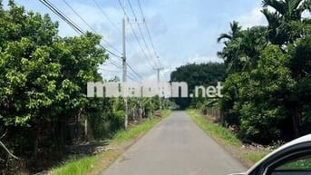 Bán đất cách sân bay Long Thành 2,5 km, diện tích 2436m2
