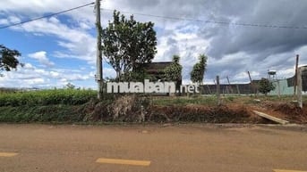 Bán đất sẵn thổ cư hơn 500m2 Ngay gần trung tâm p2 giá cực ưu đãi