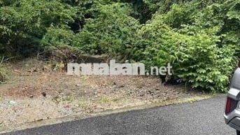 EM MUỐN BÁN LẠI MIỆNG ĐẤT MẶT TIỀN ĐƯỜNG NHỰA Ở PHÚ GIÁO