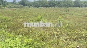 Cần Bán Lô Đất hơn 300m2 tại Thanh An, Hớn Quản,Bình Phước