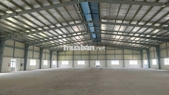 CHO THUÊ XƯỞNG 2.880m² – TRONG KHU CÔNG NGHIỆP BR-VT