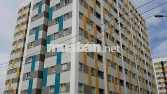 Thang máy nhà ở xã hội Việt sing: 640 triệu ,toàn quốc mua được