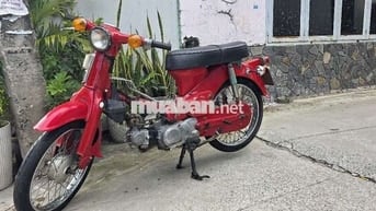 Cub 50cc