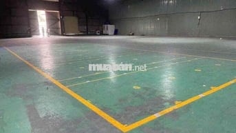 Cho thuê kho xưởng khu chế xuất Linh Trung,cont 24/24,nền epoxy