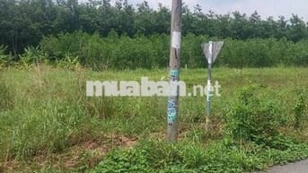 đất đẹp lai uyên,dh 516 bàu bàng 360m2,thổ cư,sổ hồng riêng