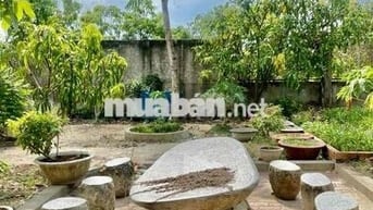 Cho Thuê nhà vườn Kênh T5 Hưng Long - Bình Chánh