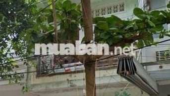 Nhà 2 tầng: Mưa cỡ nào cũng không không chạm nước.