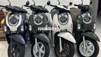 Scoopy 2025