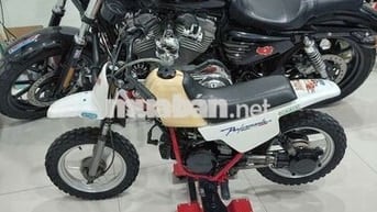 Cào cào yamaha 50cc nội địa nhật