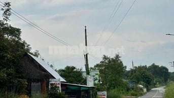 BÁN ĐẤT MẶT TIỀN SỔ HỒNG RIÊNG P TÂN ĐỊNH