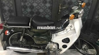 Honda  Cup 81/50 cc