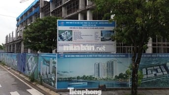 Hỗ trợ Ghi-Hoàn thiện hồ sơ Để nộp mua dự án NOXH 319 Uy Nỗ Đông Anh