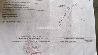 Đất 5.000m2, Ngay kcn Sikico, Minh Hưng,  Chơn thành