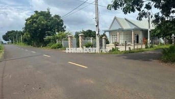 Đường Nhựa tại Đá Bạc- Châu Đức- Bà rịa Vũng tàu ( TPHCM)