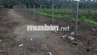Bán lô đất vườn nằm khu dân cư mặt tiền kênh bà đội Bình Mỹ