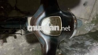 xe honda cub 50cc nhut  dời 1981