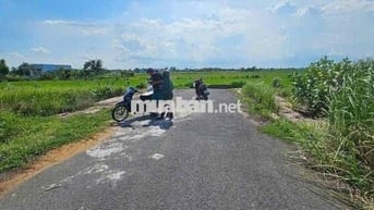 Đất sổ đỏ 115m2 xã Tân Lân, Cần Đước/ Nhận Ký gửi nhà đất Tân Lân