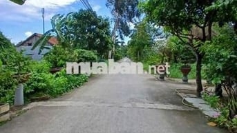 ĐẤT TÂN NHỰT BÌNH CHÁNH - BV Nhi Đồng 1ty300tr