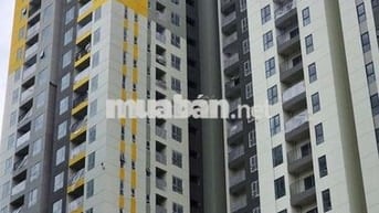 Cho thuê căn hộ Bcons Polaris, 1PN-1WC Liền kề Phạm Văn Đồng