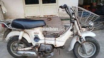 Honda Chaly Nhật 50cc Học Sinh Đi Học Ko Bằng Lái