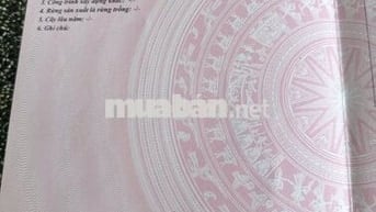 Đất nền ở huyện Cẩm Mỹ xã Xuân tây