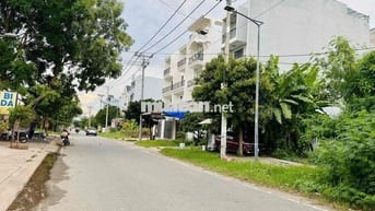 Bán đất đường Tân Liêm, xã Bình Hưng, TP.HCM_1.100m2_40tr/m2