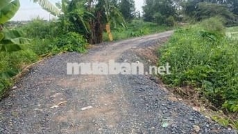 BÁN ĐẤT NÔNG NGHIỆP 871M² – ĐÔNG THẠNH, HÓC MÔN - GIÁ NHỈNH HƠN 4.2 TỶ
