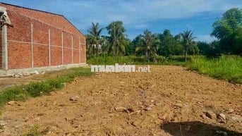 Đất giá mềm chỉ 520 triệu tại Lương Bình, Bến Lức, dt 125m2/thổ cư