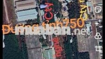 BÁN ĐẤT SỔ HỒNG RIÊNG- BÀU BÀNG