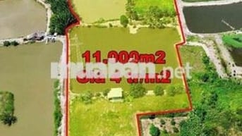 Cần bán 11.000m2 đất nhà ven sông hẻm 1991 Xã Hiệp Phước, Nhà Bè.