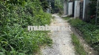Bán lô đất cực rẻ còn thương lượng 5c25 có 95m thổ cư