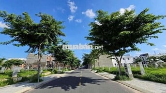 BÁN ĐẤT NỀN FULL THỔ CƯ - ĐƯỜNG TRẦN ĐẠI NGHĨA, BÌNH DƯƠNG 🌿
