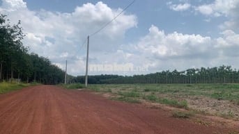 ĐẤT NGAY KHU ĐÔ THỊ MỚI CHƠN THÀNH, GẦN TRUNG TÂM HÀNH CHÍNH