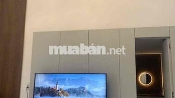 Bán gấp NR Nguyễn Chí Thanh, dt 48m2, 2 tầng, kiêt oto, giá hơn 4 tỷ