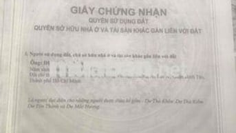 MTKD đang thu nhập tốt chính chủ vi trí cực đẹp