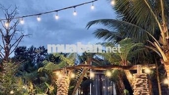 BÁN NHÀ VƯỜN VIEW ĐẸP – PHƯỜNG BUÔN HỒ – NGHỈ DƯỠNG/ HOMESTAY