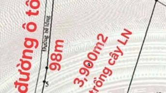 3,900m2, cây L năm đường XH, cách MT Lý Nhơn 100m, An T Đông,CG. 